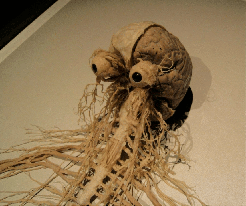 Really Take Care of Yourself